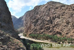 Wadi Bani Awf